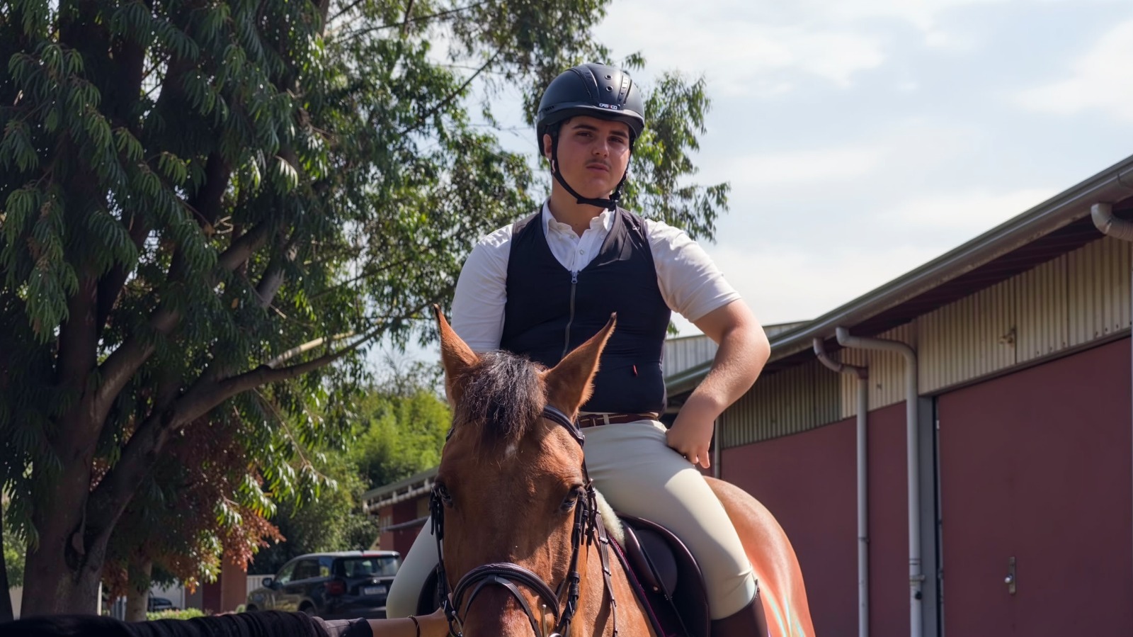 Piquetes para os cavalos da hípica